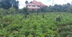 Prime 3 Acres of Land for Sale in Banana, Kiambu
