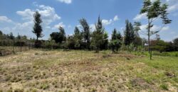 Prime Plot for Sale in Ruiru Kihunguro – Ideal for Apartments