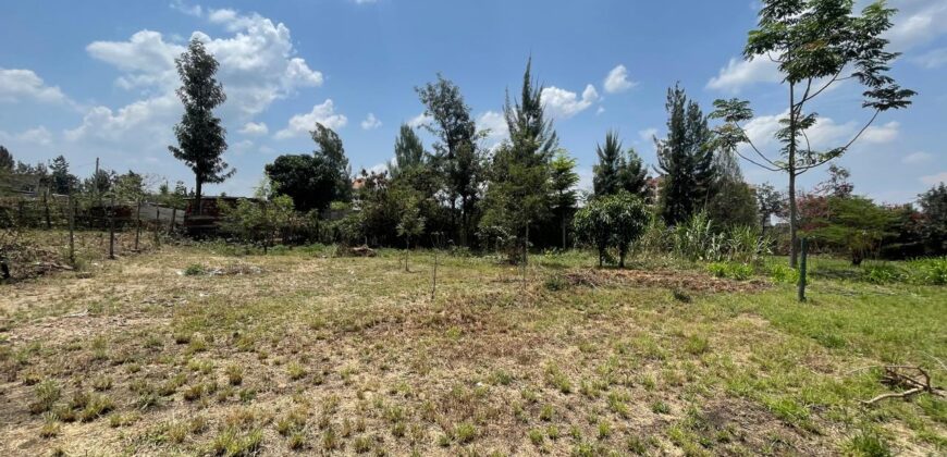Prime Plot for Sale in Ruiru Kihunguro – Ideal for Apartments
