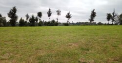 Prime 8-Acre Residential Land for Sale in Redhill
