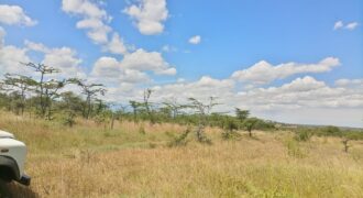 Expansive 230 Acres for Sale in Loldaiga Conservancy