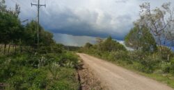For Sale: 4.5 Acres in Lower Burguret