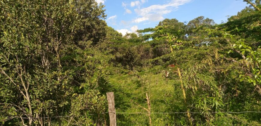 For Sale: 4.5 Acres in Lower Burguret