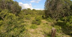 For Sale: 4.5 Acres in Lower Burguret