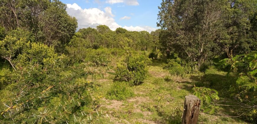For Sale: 4.5 Acres in Lower Burguret