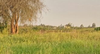 For Sale: 16 Acres Along Doldol Road