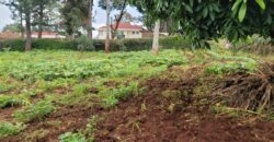 Prime ½-Acre Residential Land in Runda