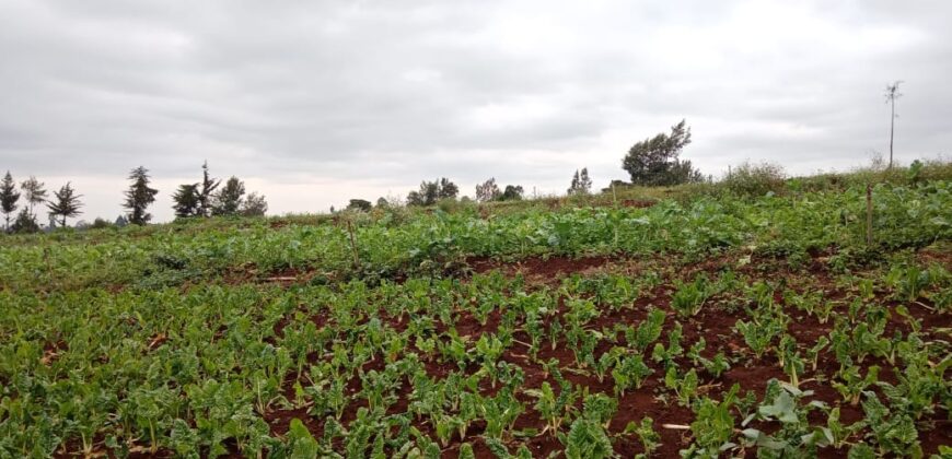 Prime 8-Acre Residential Land for Sale in Redhill
