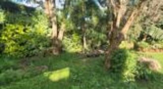 Prestigious 1-Acre Land for Sale in Nyari – KSh 125,000,000