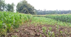 Prime 2-Acre Commercial Land for Sale in Rironi – KSh 110 Million