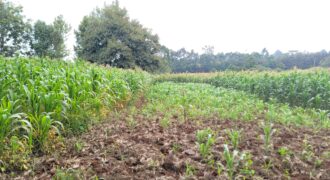 Prime 2-Acre Commercial Land for Sale in Rironi – KSh 110 Million