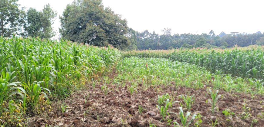 Prime 2-Acre Commercial Land for Sale in Rironi – KSh 110 Million