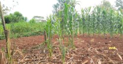 Prime 2-Acre Commercial Land for Sale in Rironi – KSh 110 Million