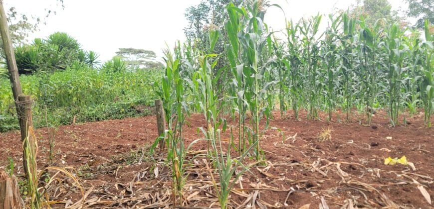 Prime 2-Acre Commercial Land for Sale in Rironi – KSh 110 Million