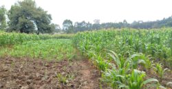 Prime 2-Acre Commercial Land for Sale in Rironi – KSh 110 Million