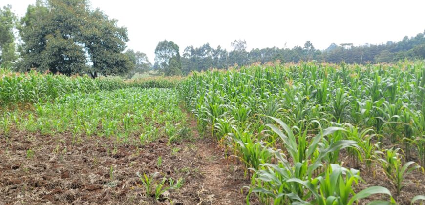 Prime 2-Acre Commercial Land for Sale in Rironi – KSh 110 Million