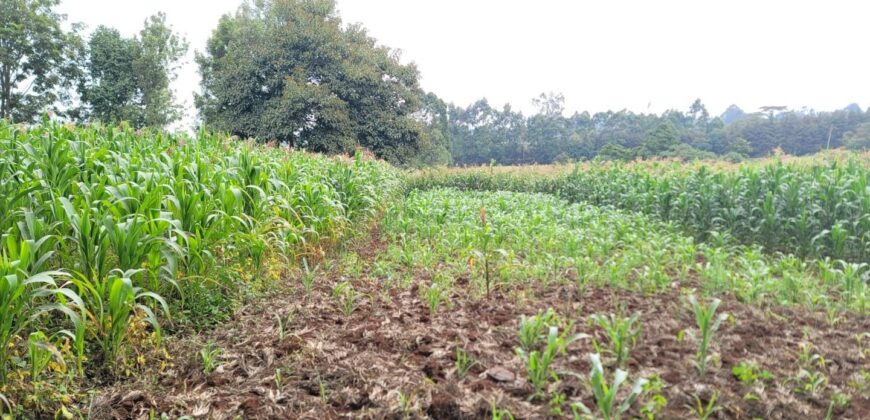 Prime 2-Acre Land for Sale in Limuru Rironi – KSh 55,000,000 Per Acre