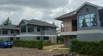 Fully Furnished & Serviced 1-Bedroom Apartment in Nanyuki