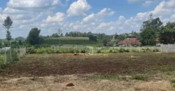 HALF AN ACRE LAND FO SALE IN RUNDA