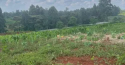 HALF AN ACRE LAND FO SALE IN RUNDA