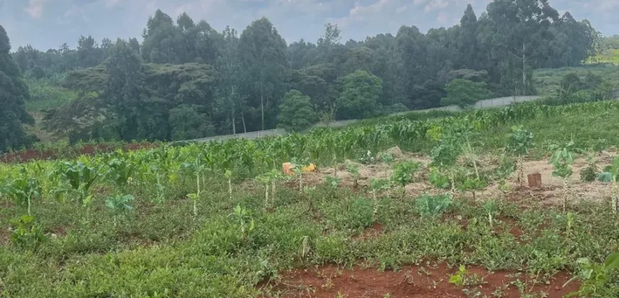HALF AN ACRE LAND FO SALE IN RUNDA