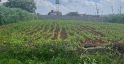 HALF AN ACRE LAND FO SALE IN RUNDA