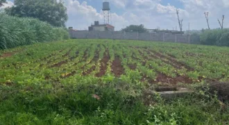 HALF AN ACRE LAND FO SALE IN RUNDA
