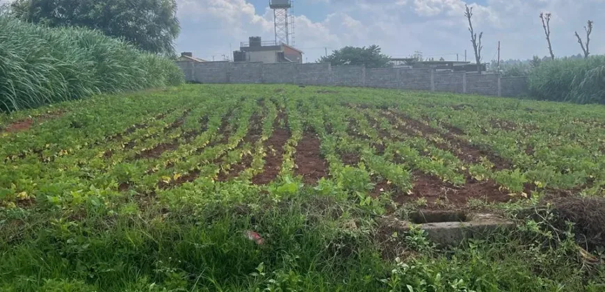 HALF AN ACRE LAND FO SALE IN RUNDA