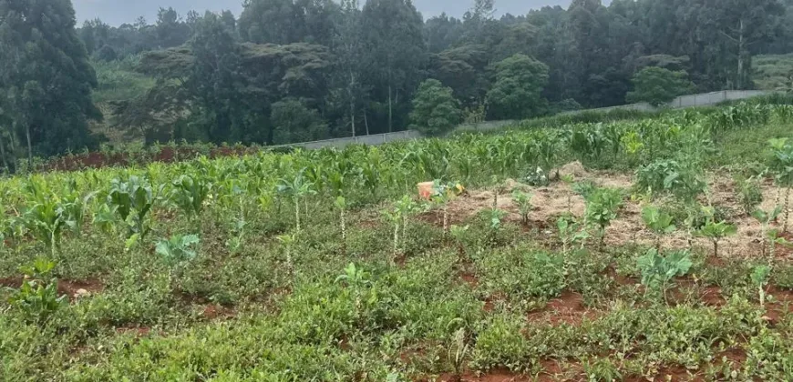 HALF AN ACRE LAND FO SALE IN RUNDA