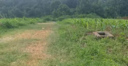 HALF AN ACRE LAND FO SALE IN RUNDA