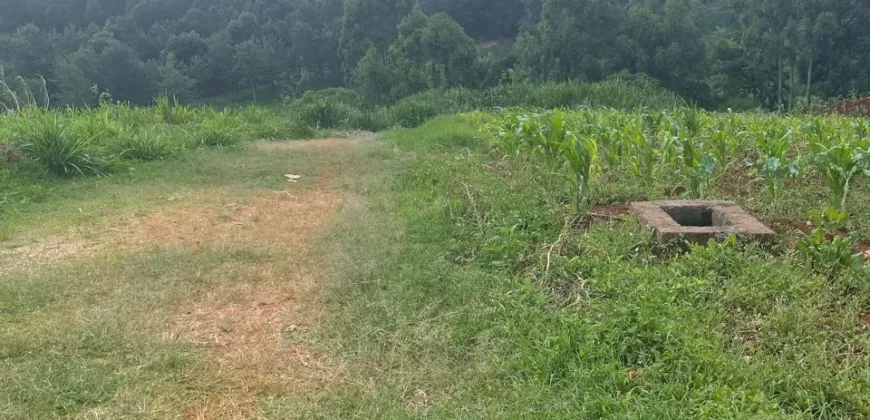 HALF AN ACRE LAND FO SALE IN RUNDA