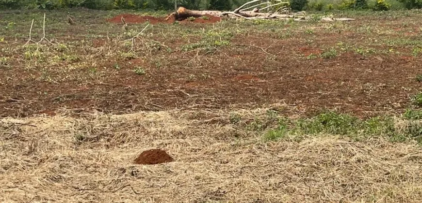 HALF AN ACRE LAND FO SALE IN RUNDA