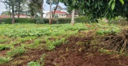HALF AN ACRE LAND FO SALE IN RUNDA