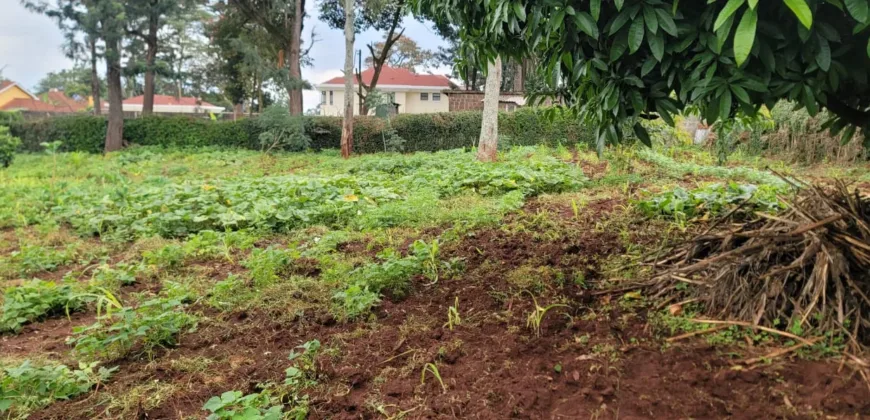 HALF AN ACRE LAND FO SALE IN RUNDA