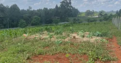 HALF AN ACRE LAND FO SALE IN RUNDA