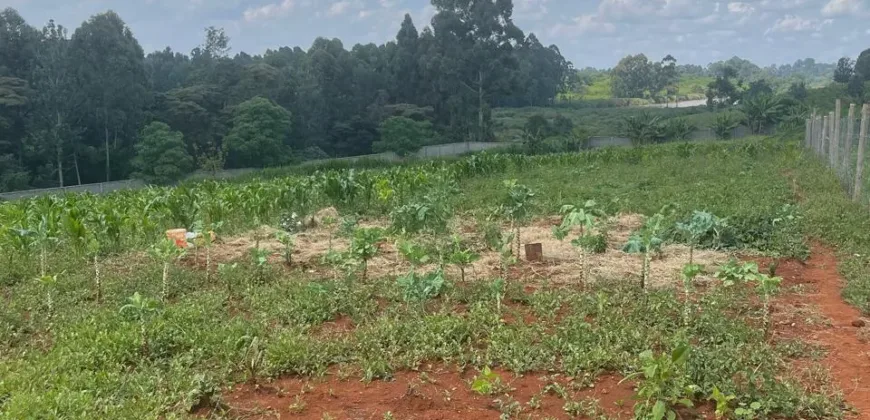 HALF AN ACRE LAND FO SALE IN RUNDA