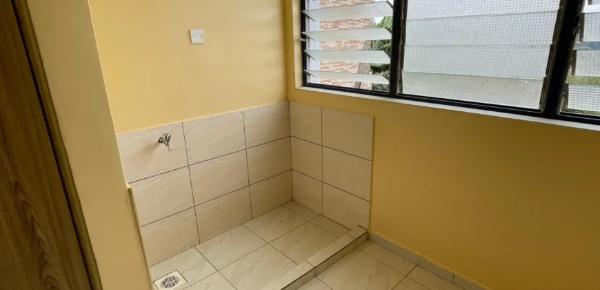 Modern 2-Bedroom Apartment with DSQ near Waiyaki Way-To Let